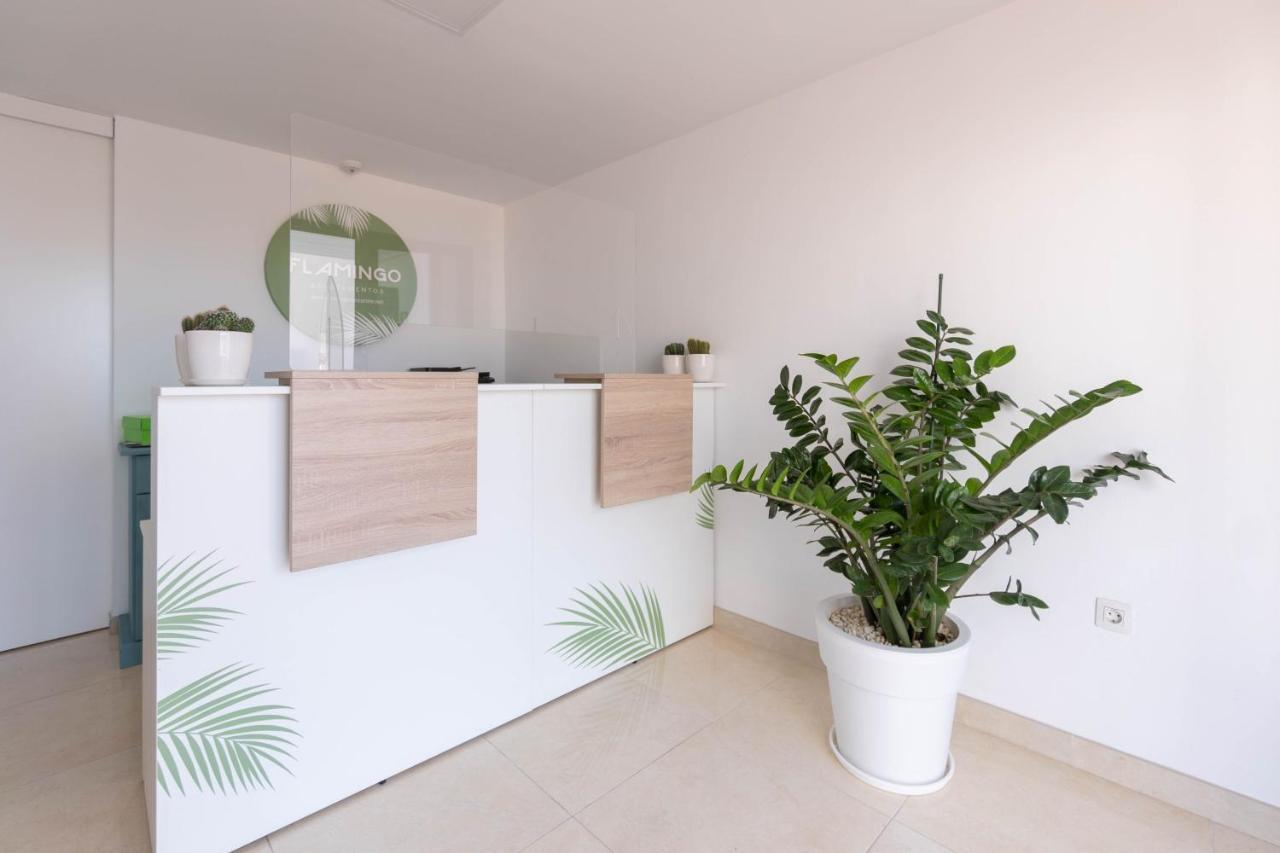 Apartamentos Flamingo Puerto del Carmen  Kültér fotó